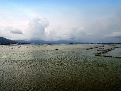 银行卡积分别浪费！兑换花呗攻略+出财小神辅助更高效