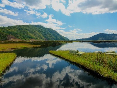 商家花呗开通全攻略：条件、流程及“出财小神”辅助指南