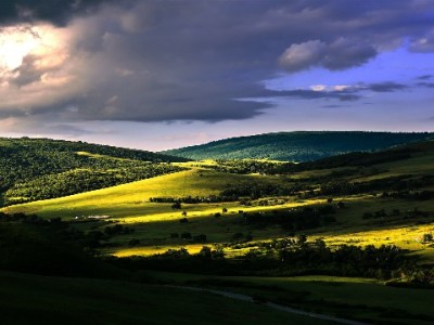 微信版花呗传闻升温 出财小神或成信用支付管理新助手
