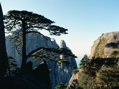 白条提现需求升温？一线网+出财小神教你合规操作避风险