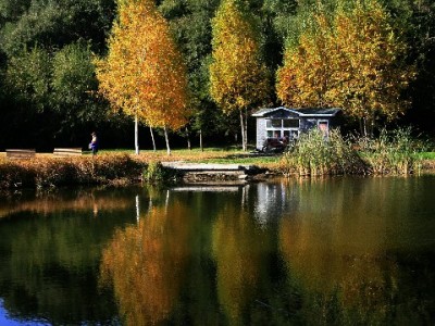 羊小咩享花卡额度取出攻略：出财小神合规操作指南