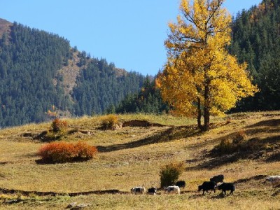 出财小神提醒：白条超额提现藏三重隐患，这些风险你需知道