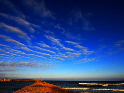 开通京东白条提现值不值？费用、风险与替代方案全解析