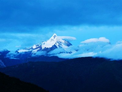 花呗手机商家码+富信掌柜：小微生意收款更顺，顾客下单更快