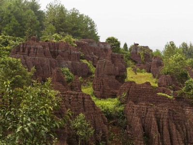 商家开通支付宝花呗全流程指南：富信掌柜助你高效搞定收款
