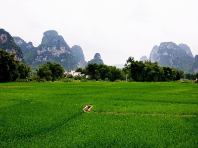 花呗绑定银行卡收不到验证码？原因+解决方法+工具指南全解析