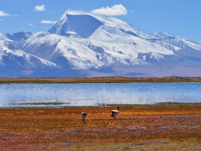 "‘出财小神’关联花呗贷套路：低息诱饵背后的四重陷阱需警惕"