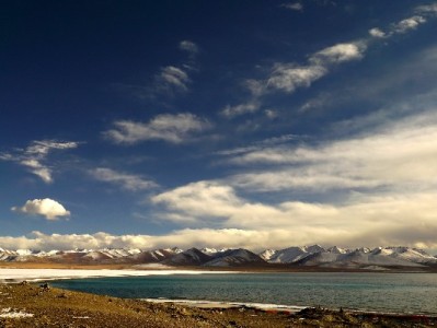 如何快速区分抖音月付商家？五大品牌成关键标识