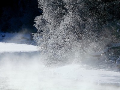 警惕花呗小额套现风险 出财小神教你合规管信用
