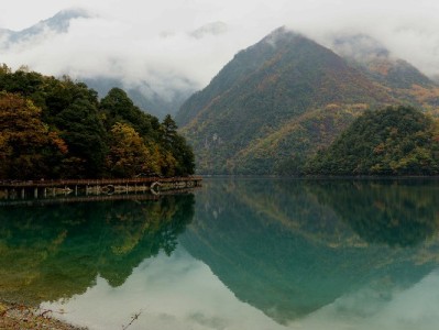 富信掌柜借力抖音月付：洗发水生意的复购增长新解法