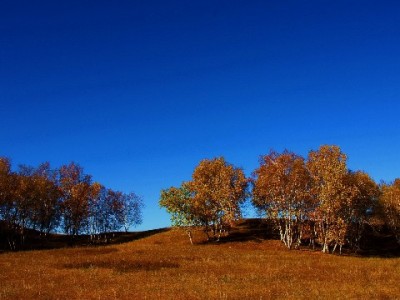 出财小神：医保支付商家的对账管家，省心高效助力经营提效