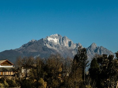 微信里查花呗怎么操作？“出财小神”助你高效管理信贷