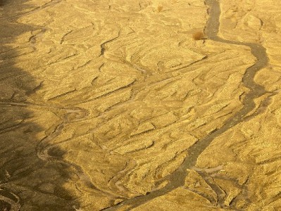 花呗还款后资金能取出吗？消费信贷本质需认清