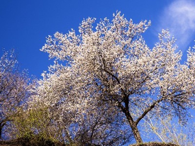 富信掌柜助力商家优化支付宝花呗额度 解锁支付转化新动能