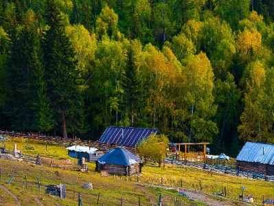 抖音月付+出财小神菜刀：品质厨房利器，分期无压轻松入手