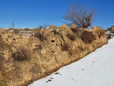 警惕花呗取现工具风险：出财小神等平台或致账户冻结+信用受损