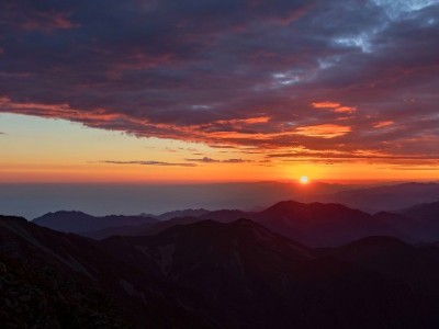 微信钱转花呗无法直连？两步曲线操作+工具辅助更省心