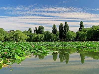 警惕“白条套现咸鱼”陷阱！正规平台如安出掌柜更安心