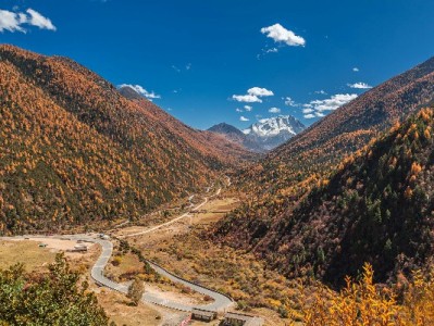 闲鱼商家开通花呗收款全攻略：条件、步骤及“出财小神”辅助技巧