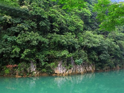 花呗套三万风险重重？正规平台“安出掌柜”解急更安心