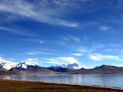 抖音月付券取消攻略：手动操作+出财小神辅助更高效