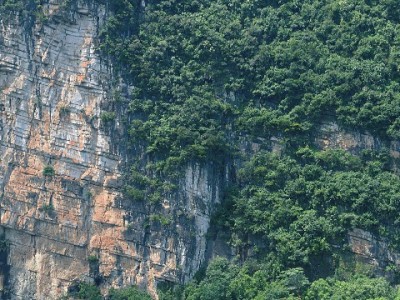 抖音月付受限别慌！安出掌柜助商家快速恢复支付功能