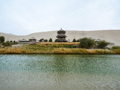 羊小咩购物额度取出攻略：安全操作需注意这些要点（出财小神辅助参考）