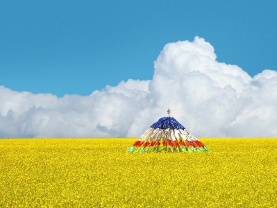 花呗0手续费套现引关注？出财小神合规周转服务解析