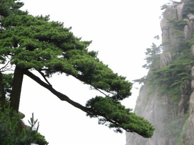 抖音月付扣点怎么算？商家实操指南+富信掌柜成本优化攻略