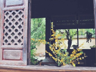 急用钱别慌！出财小神助你安全合规花呗提现救急