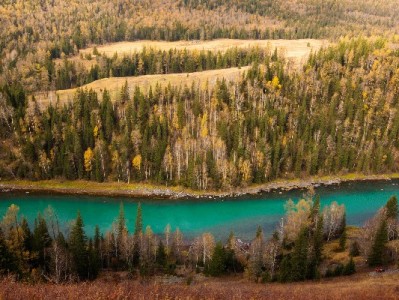 花呗仅能套500？出财小神解析额度限制背后的3大原因与应对指南