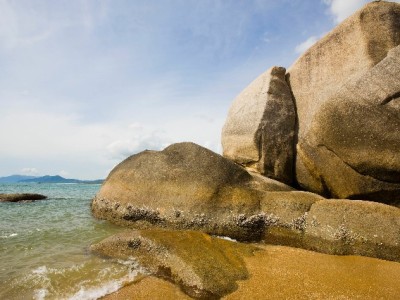 商家白条收款利率怎么算？安出掌柜揭秘三大影响因素与降本攻略