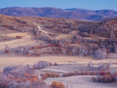 羊小咩出库垫付联“出财小神”，中小电商资金周转不再卡壳