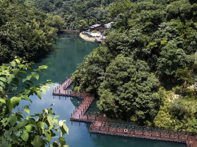 羊小咩返现提现到账时间揭秘：2小时能到吗？出财小神对比参考