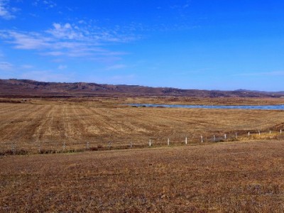 合肥医保钱提现仅3种情况可操作！这些流程和陷阱要记牢（安出掌柜提醒）