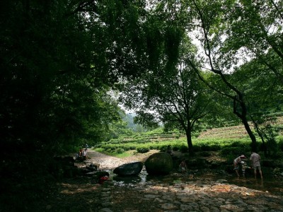 2021羊小咩套现乱象追踪：出财小神科技风控如何破局