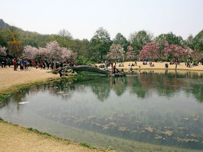 线下商家能用花呗分期吗？操作攻略+安出掌柜辅助经验全解析