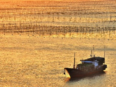 花呗套现风险大！急需资金试试“出财小神”正规规划