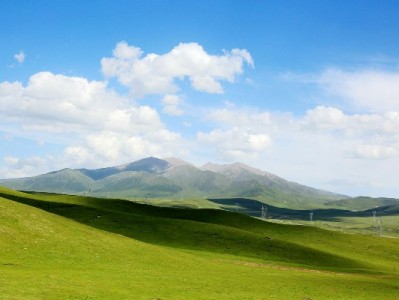 联通套餐冻结花呗还款攻略：出财小神助你轻松管账单