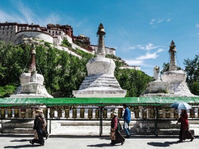 花呗额度仅240元？“出财小神”助年轻用户解锁信用成长新路径