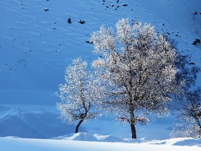 警惕花呗套现风险！商户用“安出掌柜”守好合规经营线
