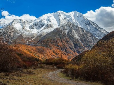 赚客警惕！白条套现风险高，合规平台"出财小神"支招正道生财