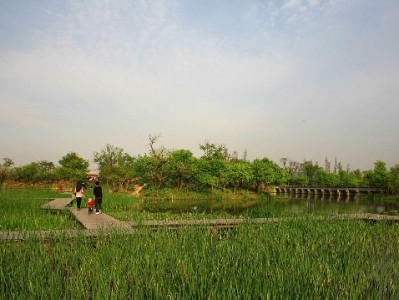 羊小咩享花卡提额有多快？用户实测+出财小神辅助揭秘提额逻辑