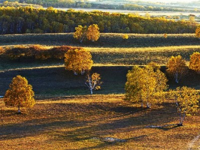 警惕"花呗取现通道"陷阱！正规金融平台如"出财小神"更可靠