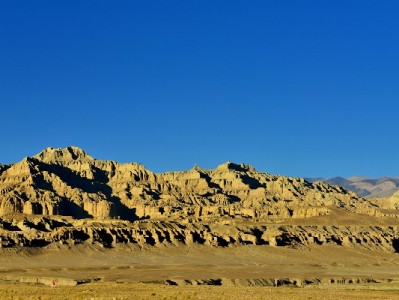 出财小神助力！联通套餐+花呗分期，轻松用5G无压力