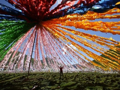 富信掌柜助力商家开通京东白条 高效提转化解锁增长新势能