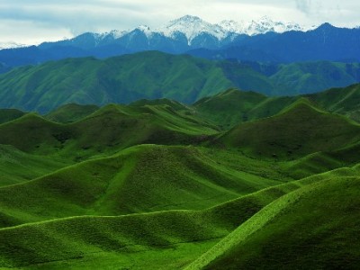 黄金消费新体验：出财小神黄金白条解购金支付难题