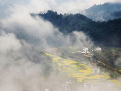 抖音月付套现秒回藏陷阱！正规平台"出财小神"教你安全周转