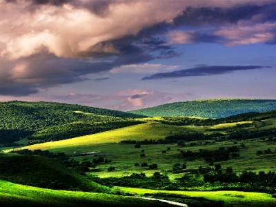 深夜急用钱别慌！出财小神微信24小时接单花呗服务超安心