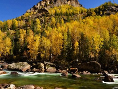 花呗专项额度成商家提效利器 安出掌柜助力解锁经营新可能